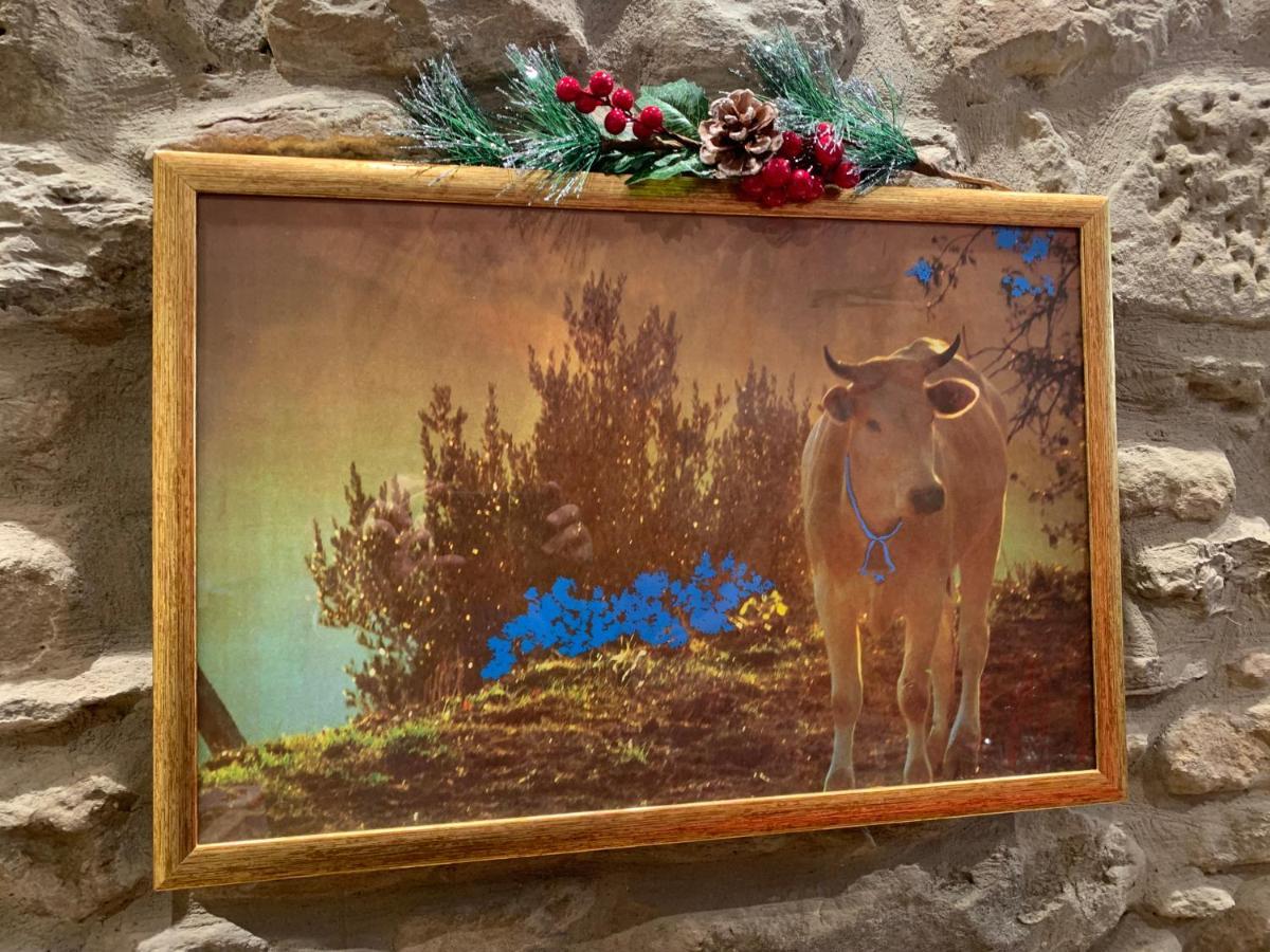 Cortona Suite - The House With Well And The Frescos Palace المظهر الخارجي الصورة